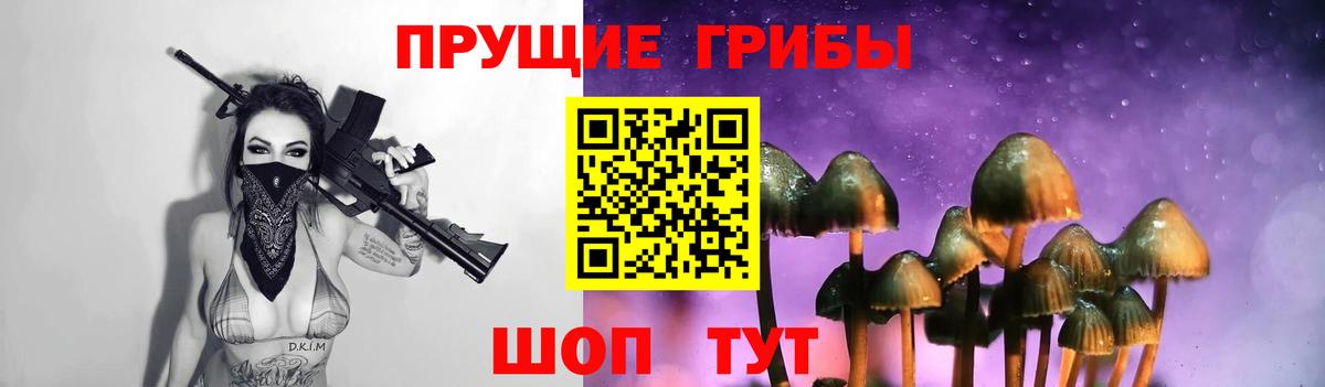 Псилоцибиновые грибы MAGIC MUSHROOMS  Вход с VPN  купить закладку  Псилоцибиновые грибы мухоморы  Москва 