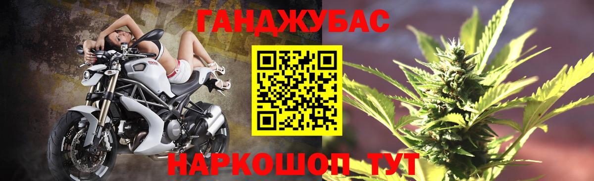 Конопля сатива Москва